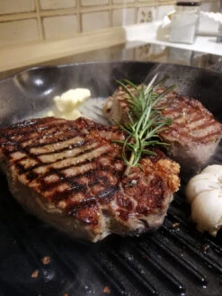 Petromax - Grill-Feuerpfanne - Poêle -Primusll Magasin petromax grill feuerpfanne pfanne c1740fcd8ca6f3d497e9156a747265aa 1